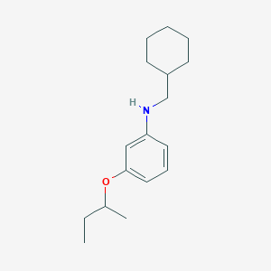 molecular formula C17H27NO B1389329 3-(Sec-butoxy)-N-(cyclohexylmethyl)aniline CAS No. 1040685-79-7