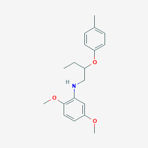 molecular formula C19H25NO3 B1389344 2,5-Dimethoxy-N-[2-(4-methylphenoxy)butyl]aniline CAS No. 1040688-45-6
