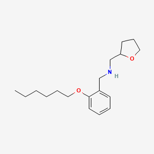 [2-(Hexyloxy)phenyl]-N-(tetrahydro-2-furanylmethyl)methanamine