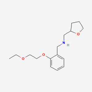 molecular formula C16H25NO3 B1389353 [2-(2-Ethoxyethoxy)phenyl]-N-(tetrahydro-2-furanylmethyl)methanamine CAS No. 1040680-53-2