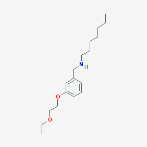 N-[3-(2-Ethoxyethoxy)benzyl]-1-heptanamine