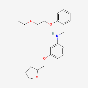 molecular formula C22H29NO4 B1389362 N-[2-(2-Ethoxyethoxy)benzyl]-3-(tetrahydro-2-furanylmethoxy)aniline CAS No. 1040681-85-3