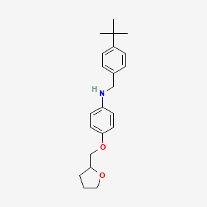 N-[4-(Tert-butyl)benzyl]-4-(tetrahydro-2-furanylmethoxy)aniline