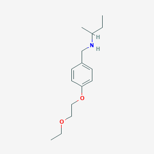 N-[4-(2-Ethoxyethoxy)benzyl]-2-butanamine