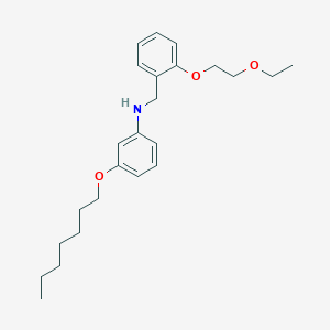 molecular formula C24H35NO3 B1389375 N-[2-(2-Ethoxyethoxy)benzyl]-3-(heptyloxy)aniline CAS No. 1040680-52-1