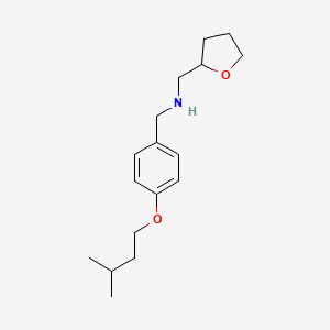 molecular formula C17H27NO2 B1389388 [4-(Isopentyloxy)phenyl]-N-(tetrahydro-2-furanylmethyl)methanamine CAS No. 1036567-89-1