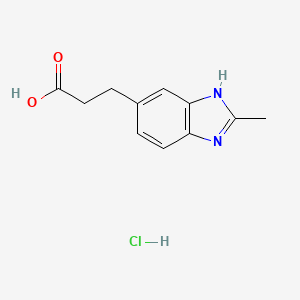 molecular formula C11H13ClN2O2 B1389416 3-(2-Methyl-1H-benzoimidazol-5-yl)-propionic acid hydrochloride CAS No. 1158498-69-1