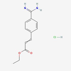 molecular formula C12H15ClN2O2 B13894294 Ethyl 3-(4-carbamimidoylphenyl)prop-2-enoate;hydrochloride CAS No. 55197-53-0