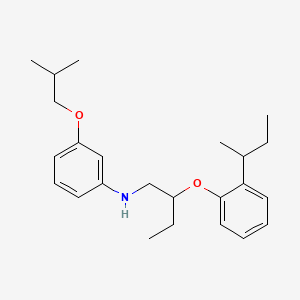 N-{2-[2-(Sec-butyl)phenoxy]butyl}-3-isobutoxyaniline