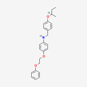 molecular formula C25H29NO3 B1389452 N-[4-(Sec-butoxy)benzyl]-4-(2-phenoxyethoxy)-aniline CAS No. 1040692-16-7