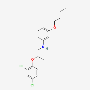 molecular formula C19H23Cl2NO2 B1389454 3-Butoxy-N-[2-(2,4-dichlorophenoxy)propyl]aniline CAS No. 1040683-07-5