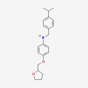 N-(4-Isopropylbenzyl)-4-(tetrahydro-2-furanylmethoxy)aniline