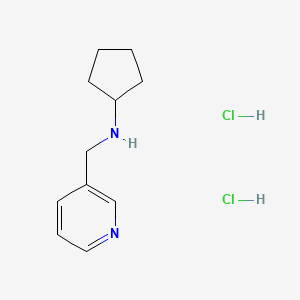 molecular formula C11H18Cl2N2 B1389481 Cyclopentyl-pyridin-3-ylmethyl-amine dihydrochloride CAS No. 1185302-30-0