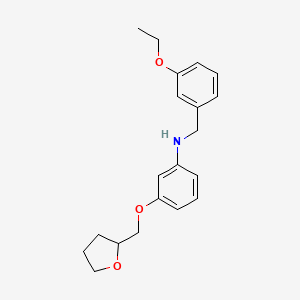 molecular formula C20H25NO3 B1389500 N-(3-Ethoxybenzyl)-3-(tetrahydro-2-furanylmethoxy)aniline CAS No. 1040681-72-8