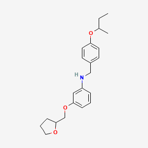 molecular formula C22H29NO3 B1389563 N-[4-(Sec-butoxy)benzyl]-3-(tetrahydro-2-furanylmethoxy)aniline CAS No. 1040681-93-3