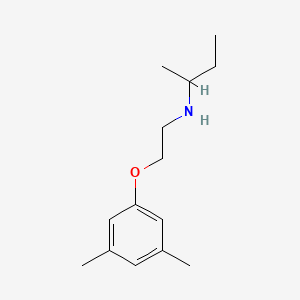 molecular formula C14H23NO B1389583 N-[2-(3,5-Dimethylphenoxy)ethyl]-2-butanamine CAS No. 1040692-27-0