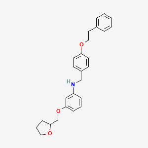 molecular formula C26H29NO3 B1389597 N-[4-(Phenethyloxy)benzyl]-3-(tetrahydro-2-furanylmethoxy)aniline CAS No. 1040681-65-9