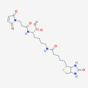 molecular formula C23H33N5O7S B13897771 2-[3-(2,5-Dioxopyrrol-1-yl)propanoylamino]-6-[5-(2-oxo-1,3,3a,4,6,6a-hexahydrothieno[3,4-d]imidazol-4-yl)pentanoylamino]hexanoic acid 