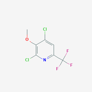 molecular formula C7H4Cl2F3NO B1389781 2,4-Dichloro-3-methoxy-6-(trifluoromethyl)pyridine CAS No. 1214377-90-8