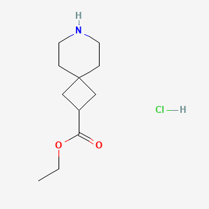 molecular formula C11H20ClNO2 B13898509 Ethyl 7-azaspiro[3.5]nonane-2-carboxylate;hydrochloride 