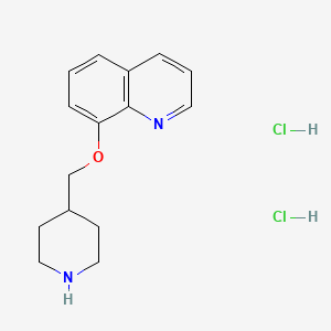 molecular formula C15H20Cl2N2O B1389906 8-(4-Piperidinylmethoxy)quinoline dihydrochloride CAS No. 1185298-73-0