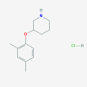 molecular formula C13H20ClNO B1389907 3-(2,4-Dimethylphenoxy)piperidine hydrochloride CAS No. 1185297-39-5