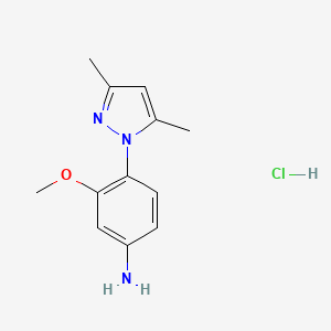 molecular formula C12H16ClN3O B1389923 4-(3,5-Dimethyl-pyrazol-1-YL)-3-methoxy-phenylamine hydrochloride CAS No. 1185293-65-5