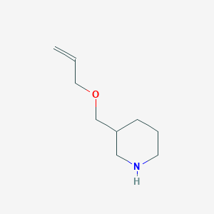 molecular formula C9H17NO B1390003 3-(Allyloxymethyl)piperidine CAS No. 946665-36-7