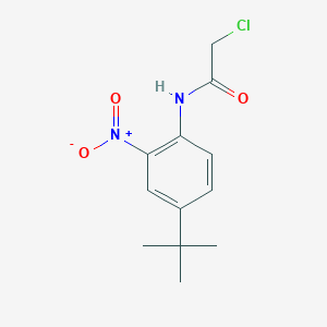 N-(4-tert-butyl-2-nitrophenyl)-2-chloroacetamide