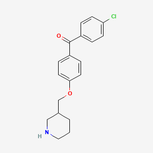 B1390052 (4-Chlorophenyl)[4-(3-piperidinylmethoxy)phenyl]-methanone CAS No. 946724-86-3