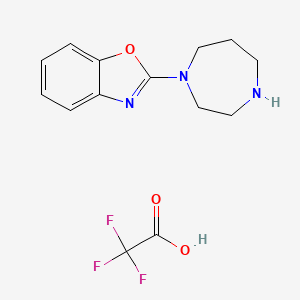 molecular formula C14H16F3N3O3 B1390062 2-(1,4-Diazepan-1-yl)-1,3-benzoxazoletrifluoroacetic acid salt CAS No. 956317-44-5