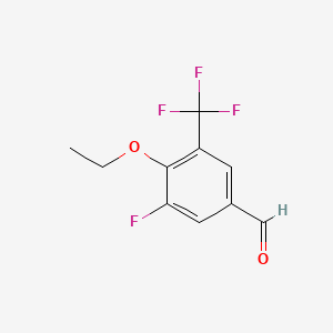 molecular formula C10H8F4O2 B13900946 4-Ethoxy-3-fluoro-5-(trifluoromethyl)benzaldehyde 