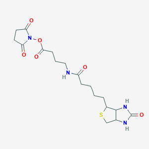 (2,5-Dioxopyrrolidin-1-yl) 4-[5-(2-oxo-1,3,3a,4,6,6a-hexahydrothieno[3,4-d]imidazol-4-yl)pentanoylamino]butanoate