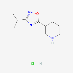 molecular formula C10H18ClN3O B1390271 3-(3-Isopropyl-1,2,4-oxadiazol-5-yl)piperidine hydrochloride CAS No. 1185296-16-5