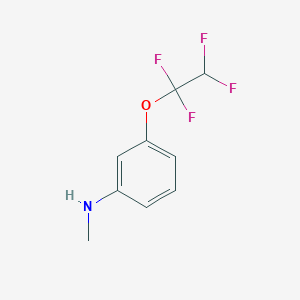 molecular formula C9H9F4NO B13904689 N-Methyl-3-(1,1,2,2-tetrafluoroethoxy)aniline CAS No. 1233518-27-8