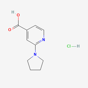 molecular formula C10H13ClN2O2 B1390523 2-Pyrrolidin-1-YL-isonicotinic acid hydrochloride CAS No. 1187932-62-2