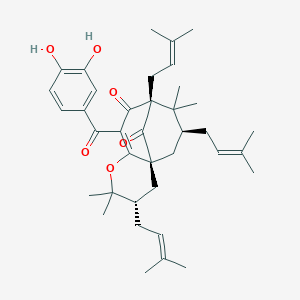 molecular formula C38H50O6 B13905279 7-Epi-Isogarcinol 