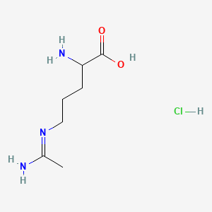 molecular formula C7H16ClN3O2 B13905828 2-Amino-5-(1-aminoethylideneamino)pentanoic acid;hydrochloride 