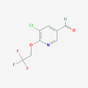 5-Chloro-6-(2,2,2-trifluoroethoxy)nicotinaldehyde