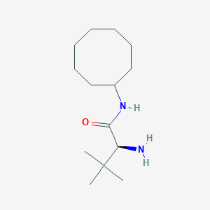 (2S)-2-amino-N-cyclooctyl-3,3-dimethylbutanamide