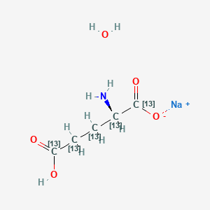 molecular formula C5H10NNaO5 B13906866 sodium;(2S)-2-amino-5-hydroxy-5-oxo(1,2,3,4,5-13C5)pentanoate;hydrate 