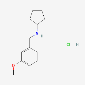 molecular formula C13H20ClNO B1390690 Cyclopentyl-(3-methoxy-benzyl)-amine hydrochloride CAS No. 1185300-49-5