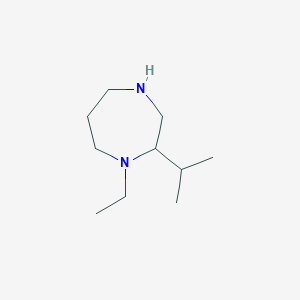 molecular formula C10H22N2 B13907269 1-Ethyl-2-isopropyl-1,4-diazepane 