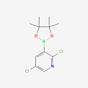 molecular formula C11H14BCl2NO2 B1390761 2,5-二氯-3-(4,4,5,5-四甲基-1,3,2-二氧杂硼环-2-基)吡啶 CAS No. 1073371-98-8