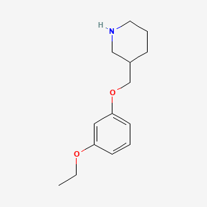 B1390769 3-[(3-Ethoxyphenoxy)methyl]piperidine CAS No. 946725-06-0