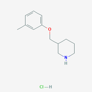 molecular formula C13H20ClNO B1390800 3-[(3-甲基苯氧基)甲基]哌啶盐酸盐 CAS No. 28569-13-3