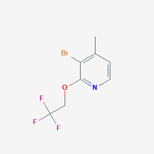 3-Bromo-4-methyl-2-(2,2,2-trifluoroethoxy)pyridine