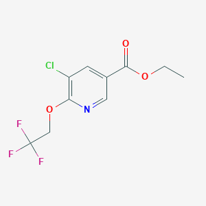 Ethyl 5-chloro-6-(2,2,2-trifluoroethoxy)nicotinate