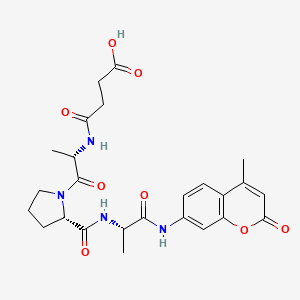 molecular formula C25H30N4O8 B1390830 Suc-Ala-Pro-Ala-Amc CAS No. 88467-44-1