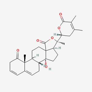 (+)-Withaphysalin D